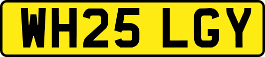 WH25LGY