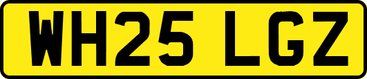WH25LGZ