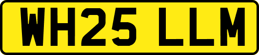 WH25LLM