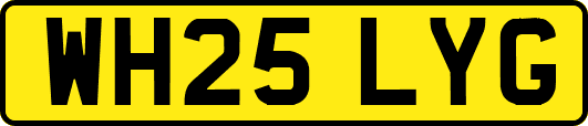 WH25LYG