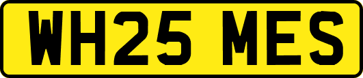 WH25MES