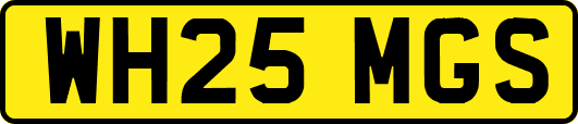 WH25MGS