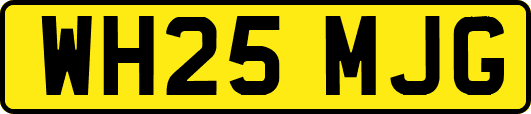 WH25MJG