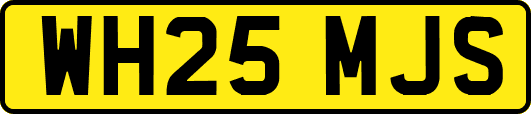 WH25MJS
