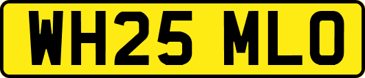 WH25MLO