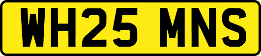 WH25MNS