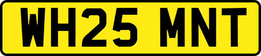 WH25MNT