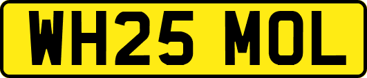 WH25MOL