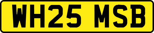 WH25MSB