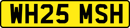 WH25MSH