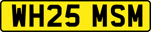 WH25MSM