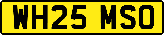 WH25MSO