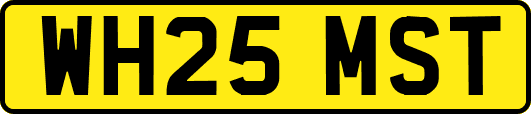 WH25MST