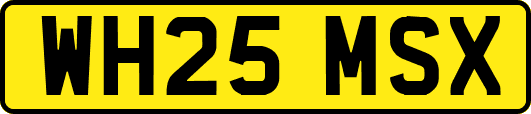 WH25MSX
