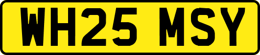 WH25MSY