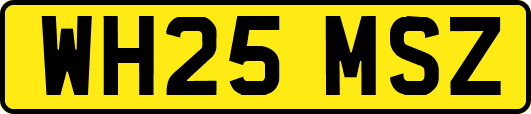 WH25MSZ