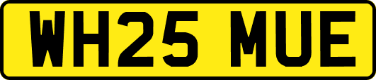 WH25MUE