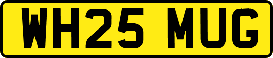 WH25MUG