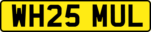WH25MUL