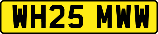 WH25MWW