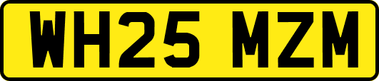 WH25MZM