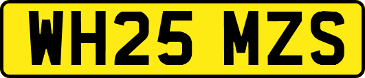 WH25MZS