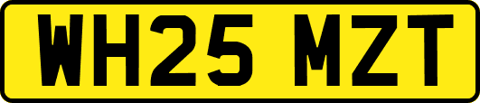 WH25MZT