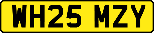 WH25MZY