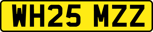 WH25MZZ