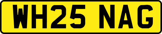 WH25NAG