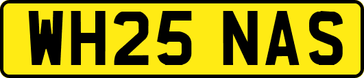 WH25NAS