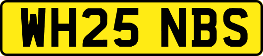WH25NBS