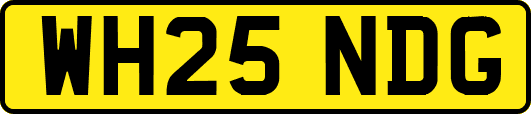WH25NDG