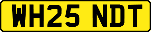 WH25NDT