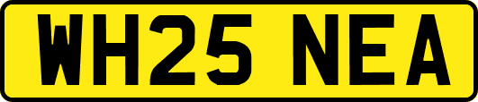 WH25NEA