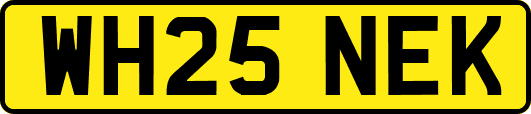 WH25NEK