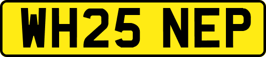 WH25NEP