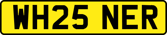 WH25NER
