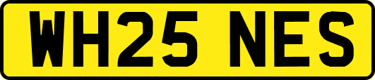 WH25NES