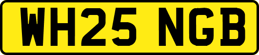 WH25NGB