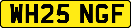 WH25NGF