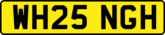 WH25NGH