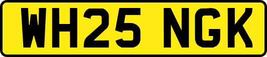 WH25NGK