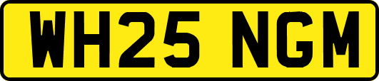 WH25NGM