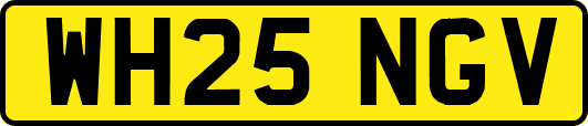 WH25NGV