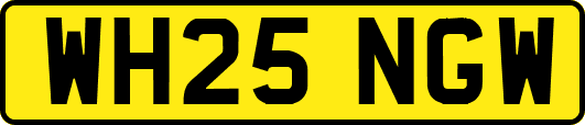 WH25NGW