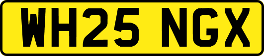 WH25NGX