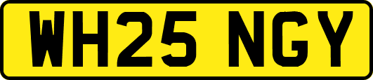 WH25NGY