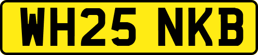 WH25NKB