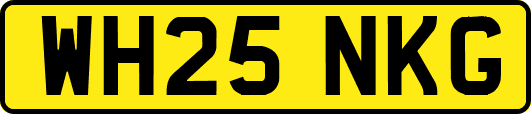 WH25NKG